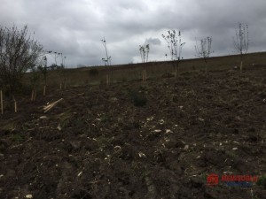 34340cdd_0e00_41ff_8127_2c5cf3714bc8 (1).jpg